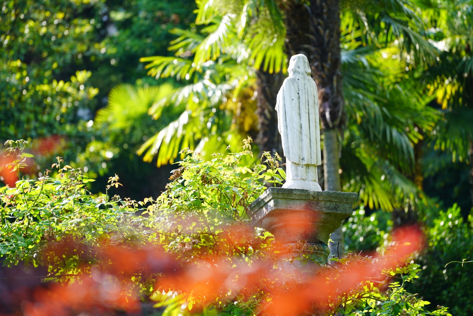 colonna maria parco